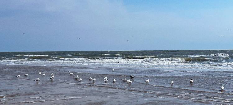 北戴河东经路宾馆图片