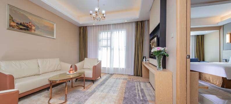 维也纳国际酒店(益阳沅江店)图片