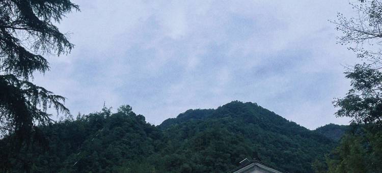 仙居苔痕里民宿图片
