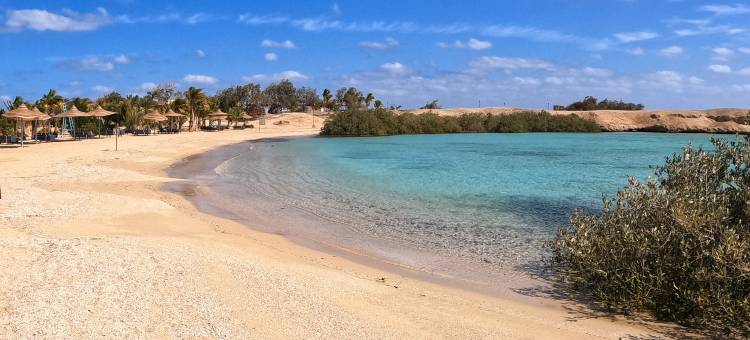 红树林湾度假村(Mangrove Bay Resort)图片
