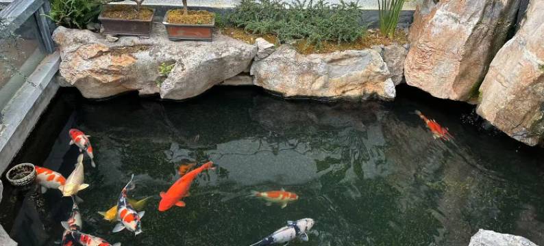 澜图丨嘉悦LANTUJOY Horizon休闲度假酒店(丽江古城忠义市场店)图片