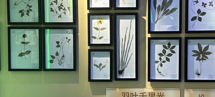 抚顺新宾和睦宾馆(和睦国家森林公园店)图片