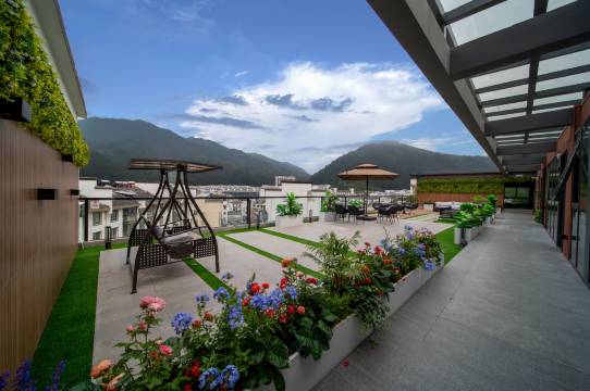 黄山启源国际酒店(黄山风景区汤口南大门店)图片