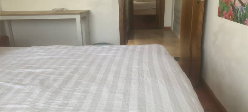 大棵菜旅店图片