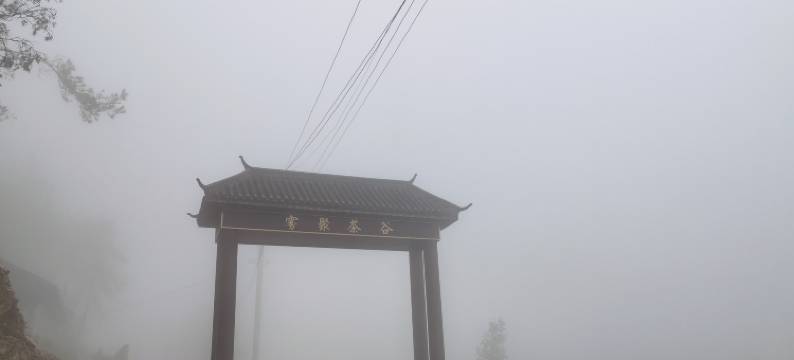 桐城雾聚茶谷民宿图片