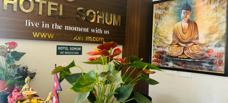 索胡姆酒店(Hotel Sohum)图片