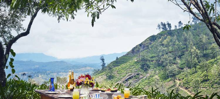 杰特威华威花园奢华臻选酒店(Jetwing Warwick Gardens, A Luxury Reserve)图片