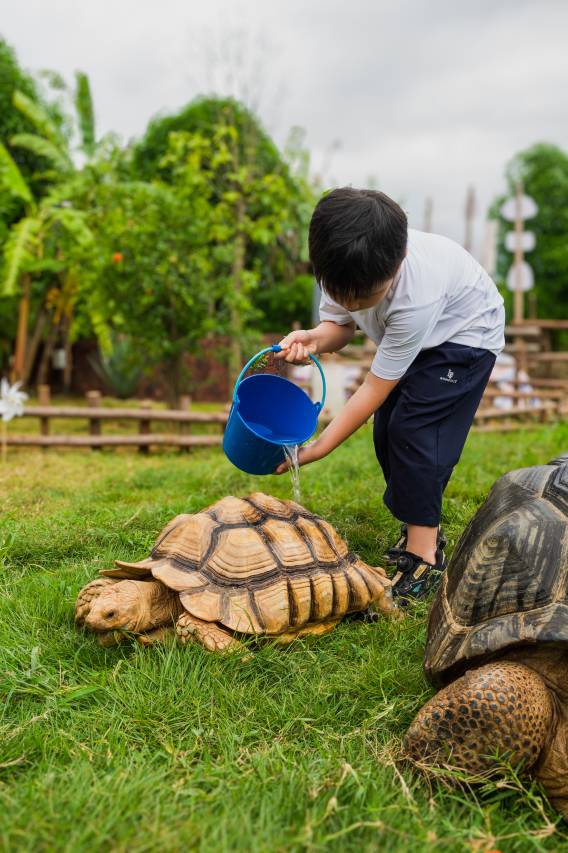 崇左在野宿集·既见野奢Villa图片