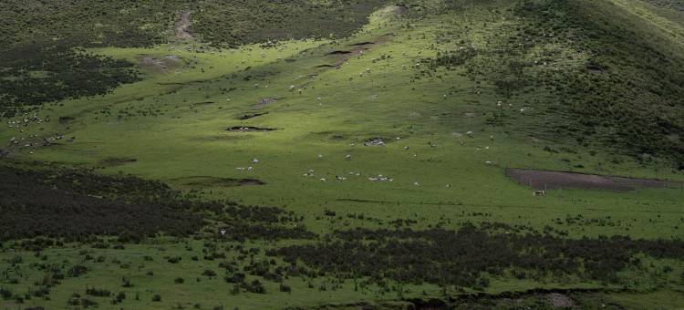 天祝暻阁酒店图片