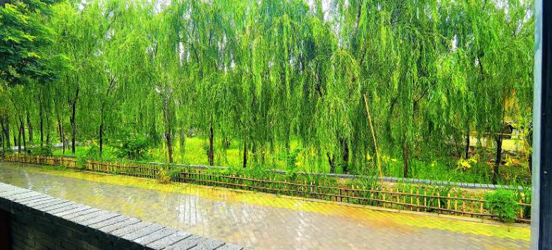 乐北苑民宿图片