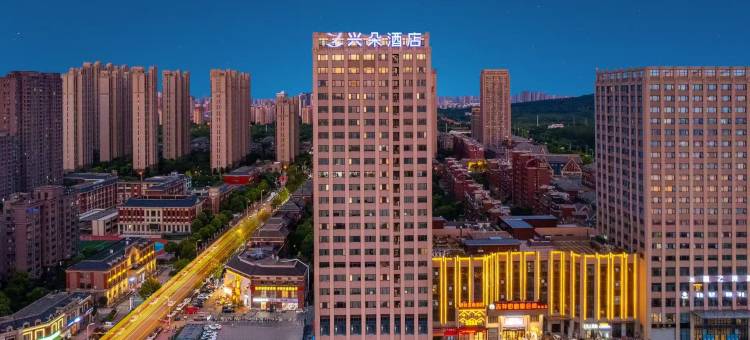 合肥振兴路地铁站长江西路兴朵酒店图片