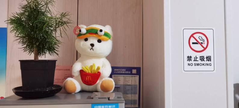 扬州许家小宅客栈图片