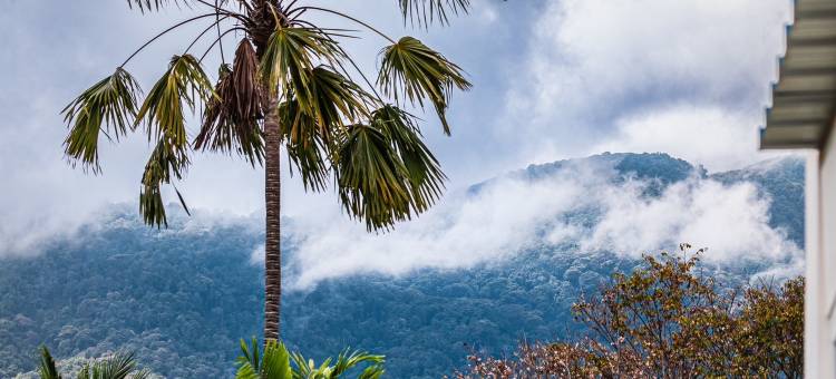 清迈映日温泉居(Chez Nij Ryokan Onsen)图片