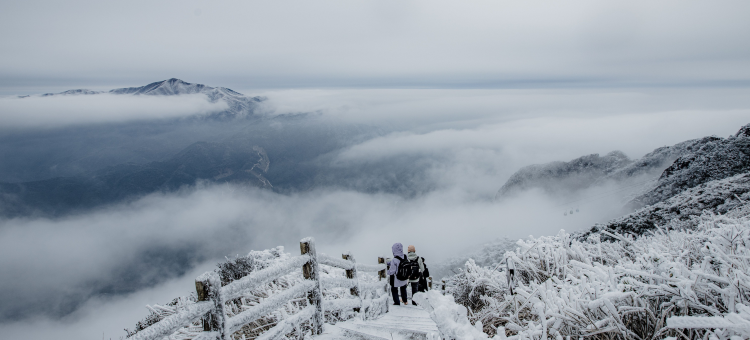 清远金子山森林雪谷壮瑶度假村图片