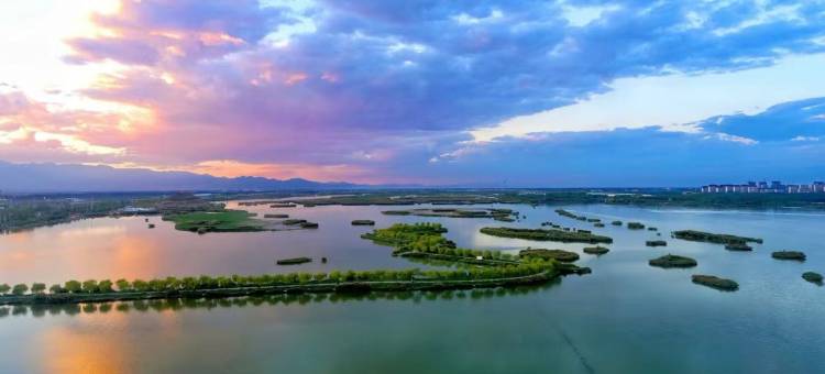 银川美季酒店(银川高铁站文化城凤凰幻城店)图片