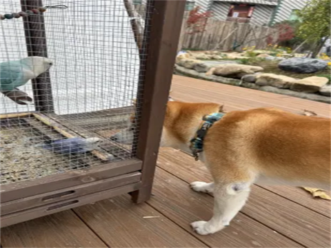 青墨山隐·半山·Haven小墅(景德镇三宝国际陶艺村店)图片