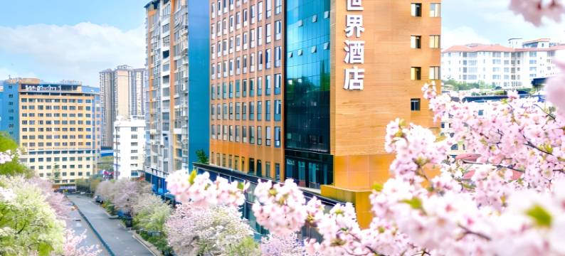 遵义大世界酒店(汇川区国贸春天百货购物中心珠海路店)图片