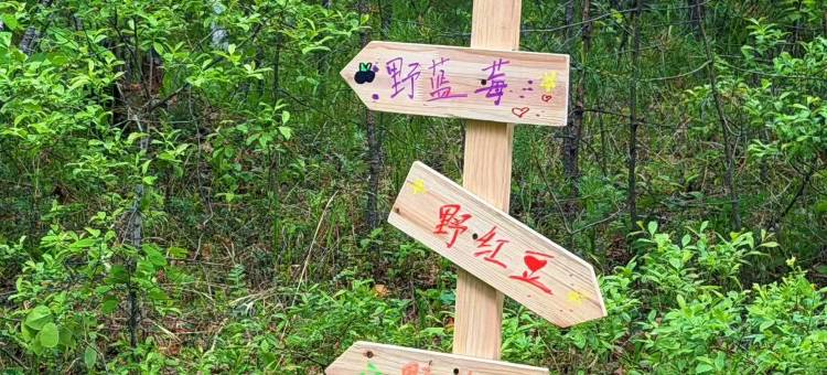 漠河北极村松间悦居野奢酒店图片