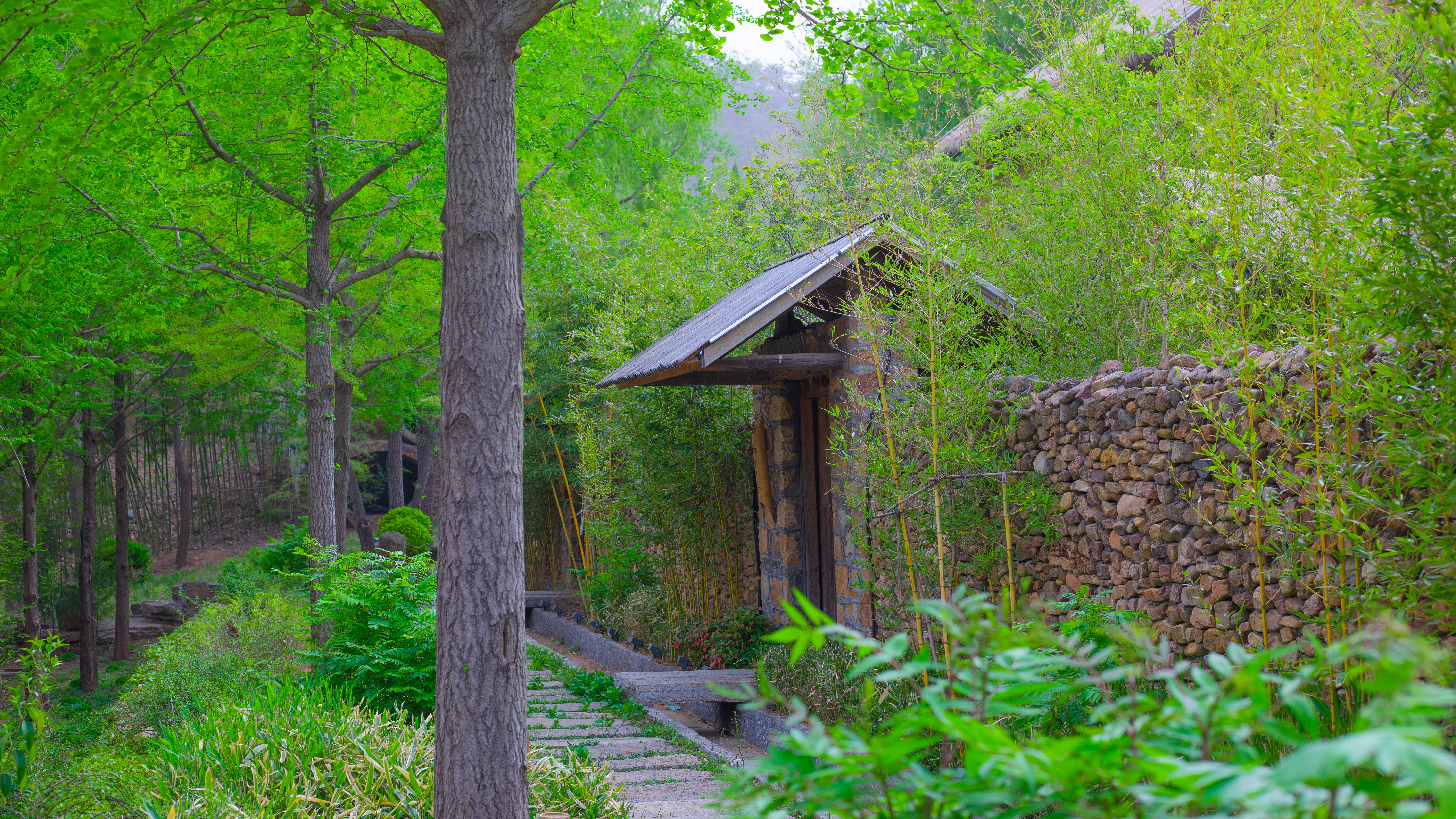 Yishui Yunzhu Homestay (Natural Underground Gallery Tourist Scenic Area) Over view