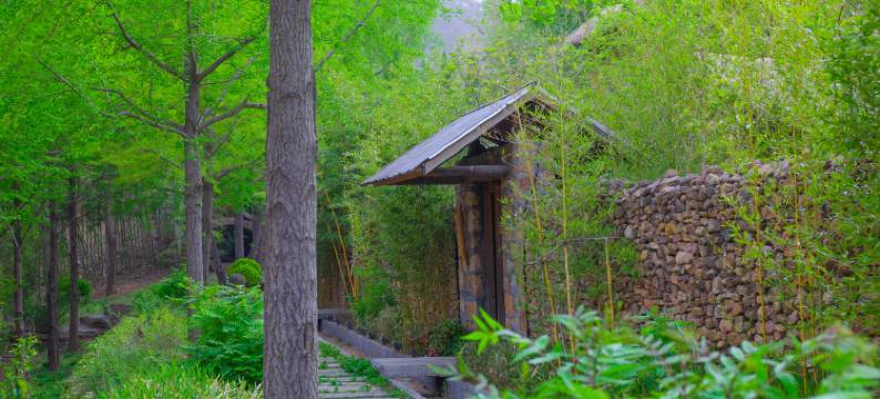 沂水云竹民宿(天然地下画廊旅游风景区店)图片