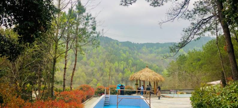 旭日·鹿隐泉苑私汤木屋民宿图片