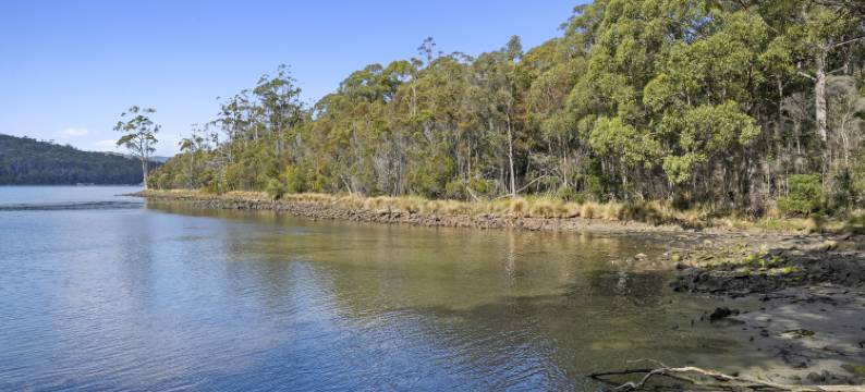 狐狸与猎犬历史酒店(The Fox and Hounds Historic Hotel)图片