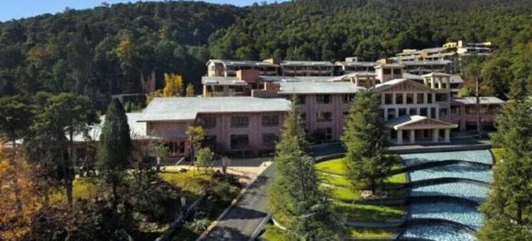安宁金方森林温泉半山酒店图片