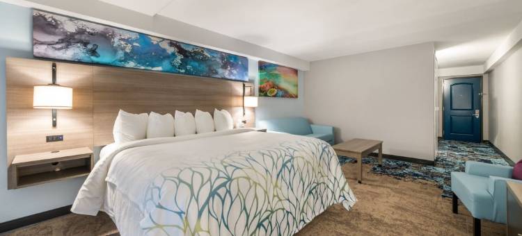 弗吉尼亚海滩北加纳酒店(Garner Hotel Virginia Beach North)图片