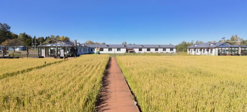 友好溪水松月民宿图片