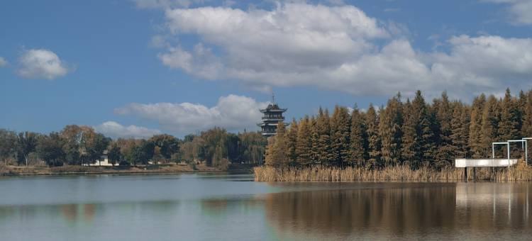 仪征园博君澜度假酒店图片