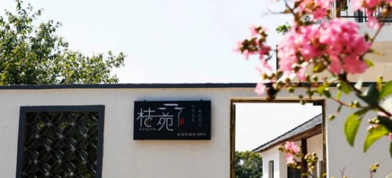 崇明桔苑民宿图片