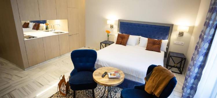 普拉苏埃拉德尔碳套房酒店(Plazuela del Carbón Suites)图片