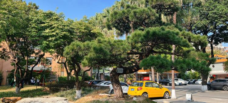 佛山迎宾馆(佛山市政府祖庙店)图片