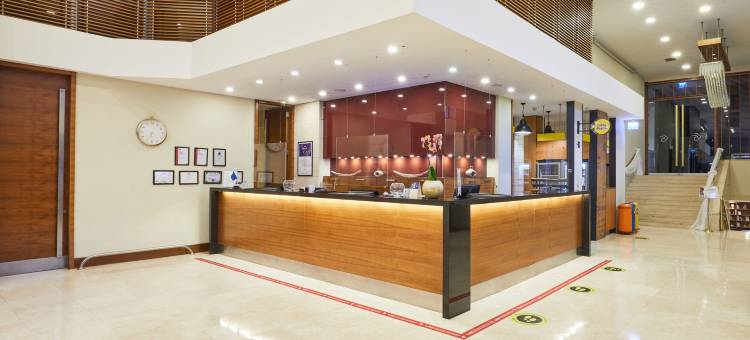 伊斯坦布尔德德曼酒店(Dedeman Istanbul)图片