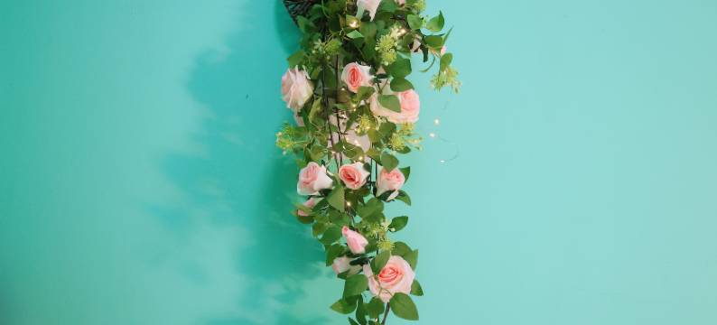 大连青柠宾馆(金州鸿玮澜山轻轨站店)图片