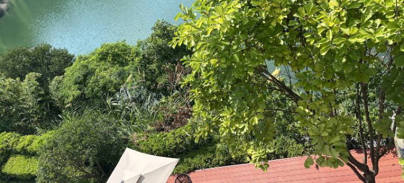 黄山江祥泰·乐水民宿图片