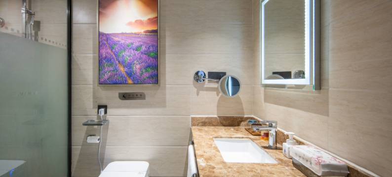 麗枫酒店(海宁皮革城银泰店)图片