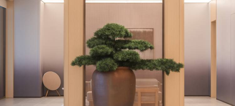 全季酒店(揭阳建阳路店)图片
