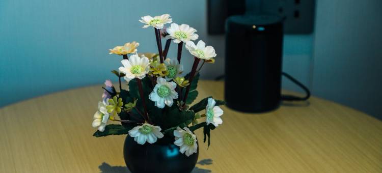 锦江之星酒店(周口鹿邑老子故里店)图片