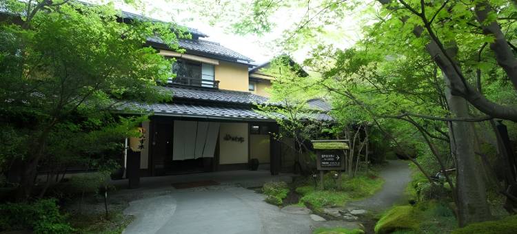 山水木(Kurokawaonsen Yamamizuki)图片