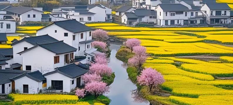 岭居·青石小巷民宿(篁岭风景区店)图片