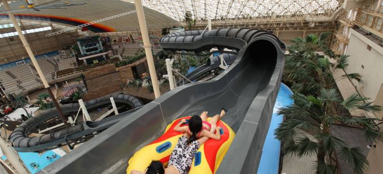 夏威夷莫诺利特大楼 Spa 度假村(Spa Resort Hawaiians Monolith Tower)图片