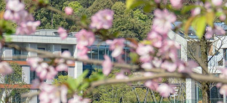 重庆美利亚酒店图片