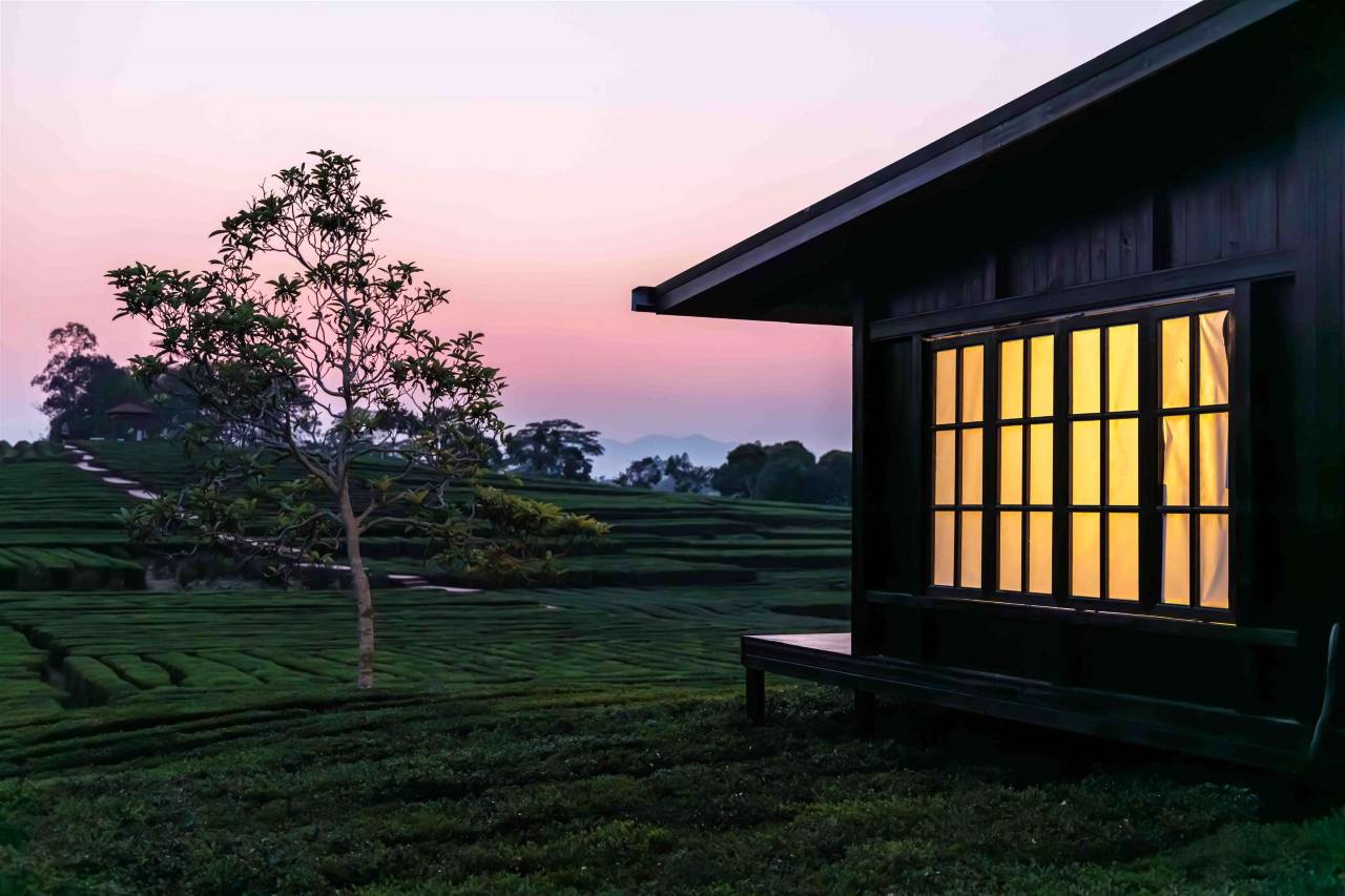 逸山海·慢享榄园茶疗私汤度假民宿图片