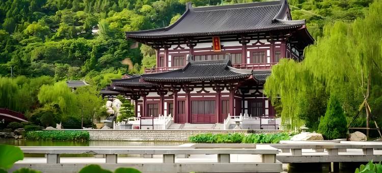 煜洋国际大酒店(西安临潼兵马俑旅游区店)图片