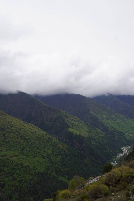 归山牧云民宿(四姑娘山店)图片