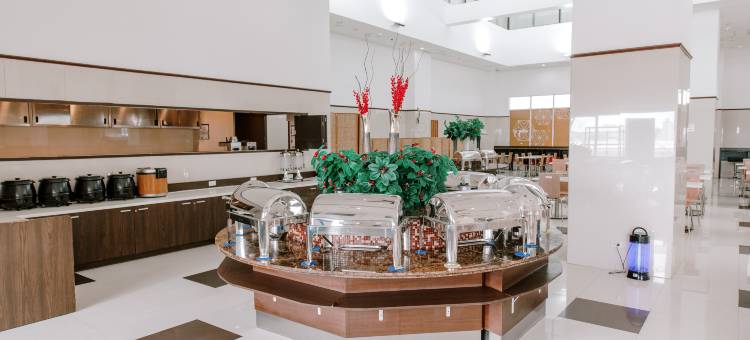 东横INN宿雾(Toyoko Inn Cebu)图片