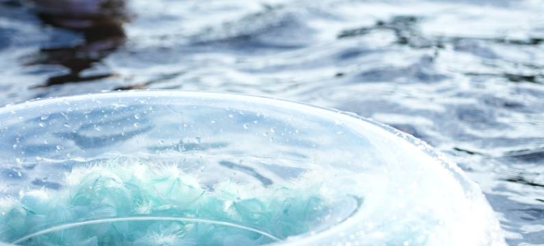 香遇·老樟树民宿图片