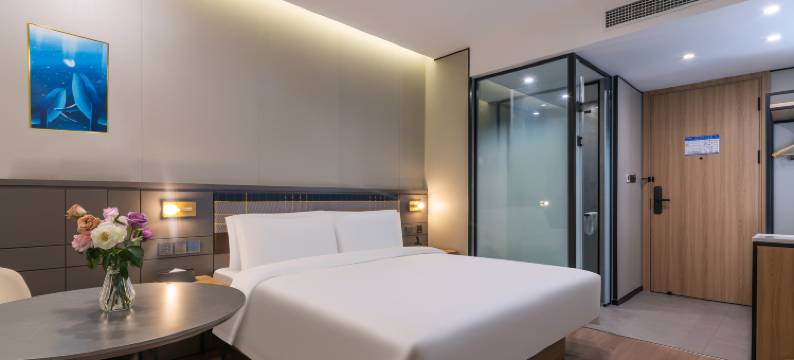 清荷悦麗酒店(天津极地海洋公园滨海高铁站店)图片