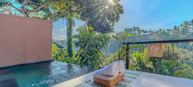 乌布德阿摩拉精品别墅(Amora Ubud Boutique Villas)图片